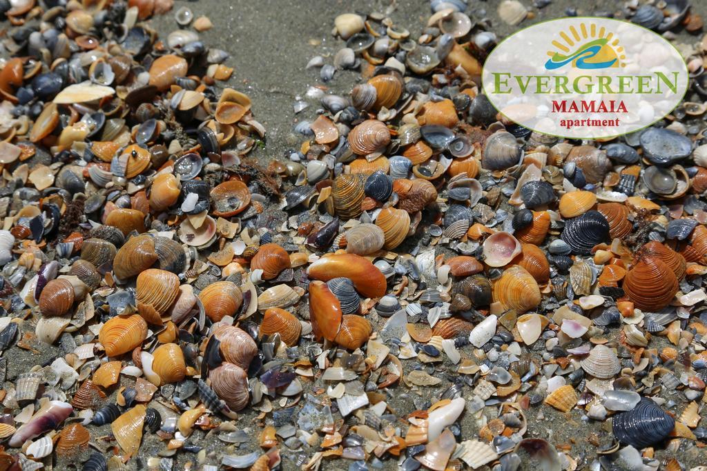 Evergreen Vlas Mamaia Sud Luaran gambar