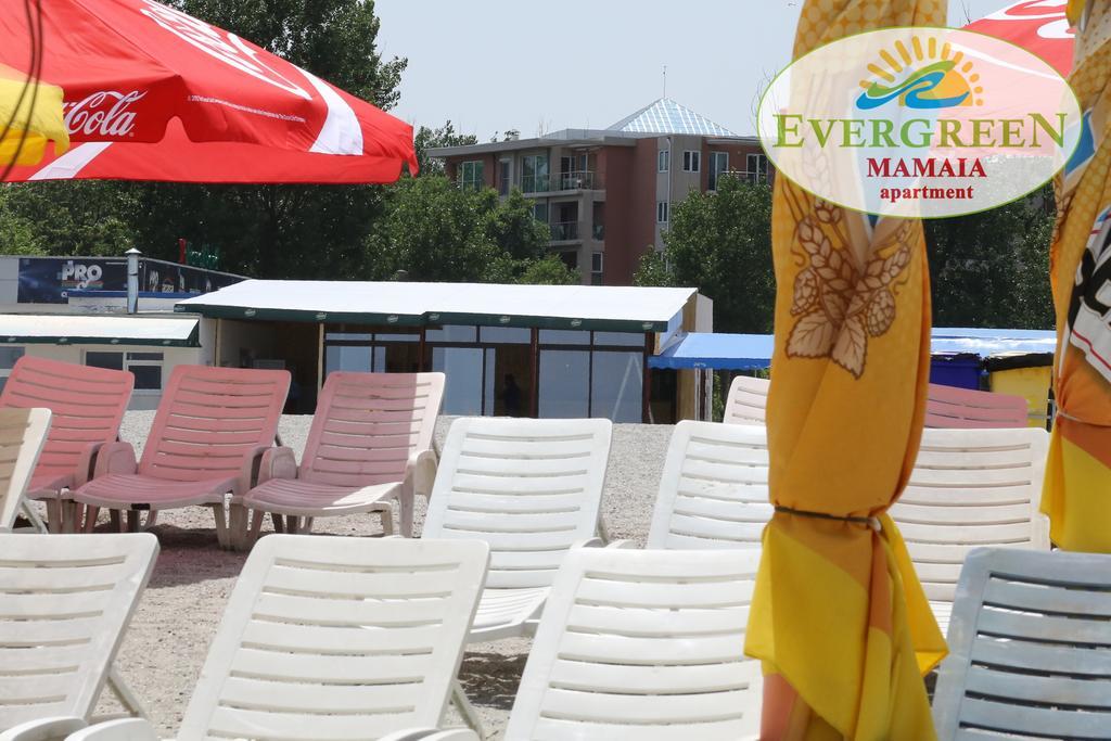 Evergreen Vlas Mamaia Sud Luaran gambar