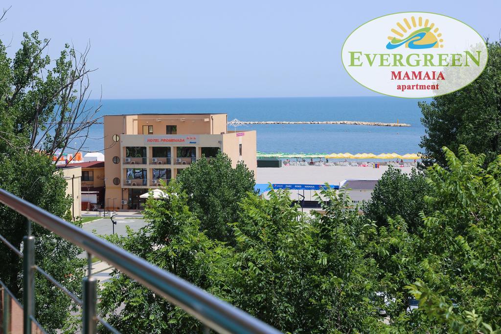 Evergreen Vlas Mamaia Sud Luaran gambar