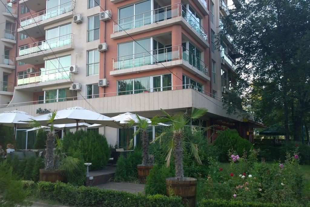 Evergreen Vlas Mamaia Sud Bilik gambar